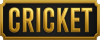 logo CRICKET IO